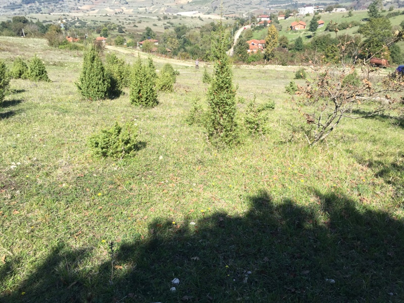 Kandırada satılık arsa,arazi,tarla Emlak Yapı Gayrimenkul