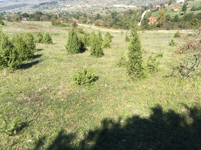 Kandırada satılık arsa,arazi,tarla Emlak Yapı Gayrimenkul