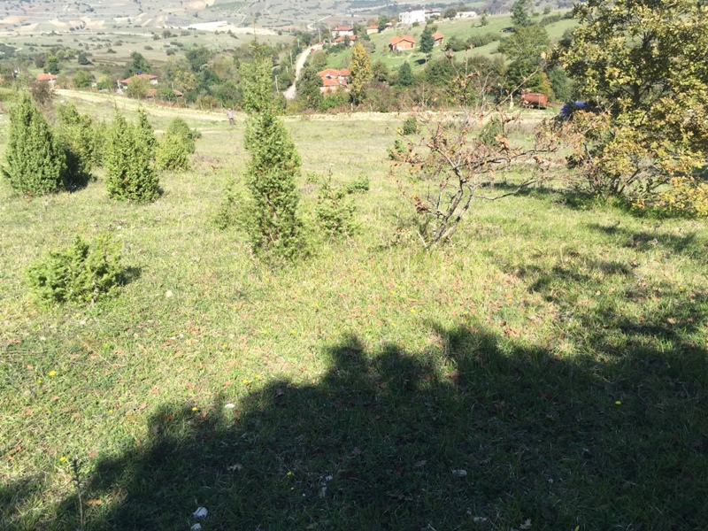 Kandırada satılık arsa,arazi,tarla Emlak Yapı Gayrimenkul